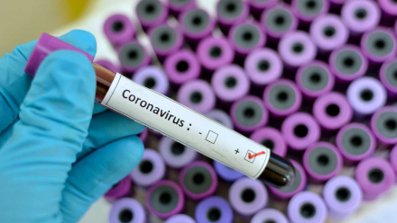 Coronavirus.jfif