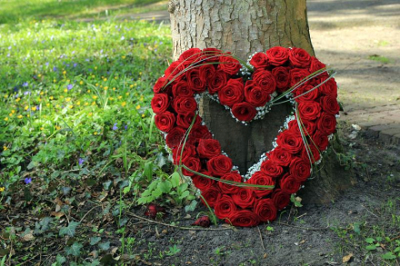san valentin2.jpg
