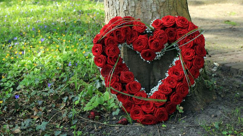 Día de San Valentín y coronas de COVID: los floristas nunca han visto un febrero igual