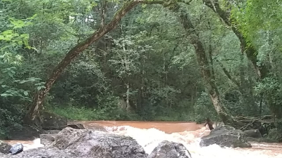 Bocas de agua en el monte