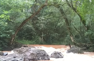 Bocas de agua en el monte