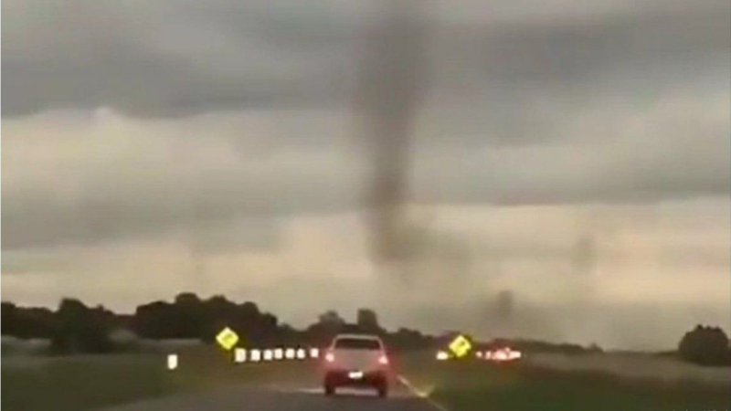 El 2021 no para de sorprender: "tornado" de mosquitos en Pinamar ?️?