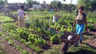 Planifican tareas conjuntas para formalizar la agricultura familiar en Chaco