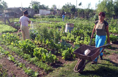 Planifican tareas conjuntas para formalizar la agricultura familiar en Chaco