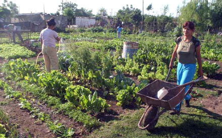 Agricultura-Familiar.jpg