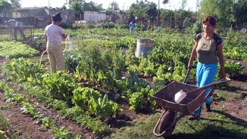 Planifican tareas conjuntas para formalizar la agricultura familiar en Chaco