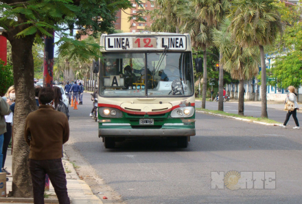 transporte01.jpg