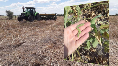 La falta de lluvia no perdona y condiciona a la Campaña Agrícola 2020/2021
