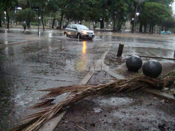 Foto: Fabián Maldonado.