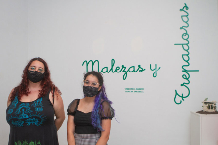 MALEZASYTREPADORAS-FOTO3.jpg