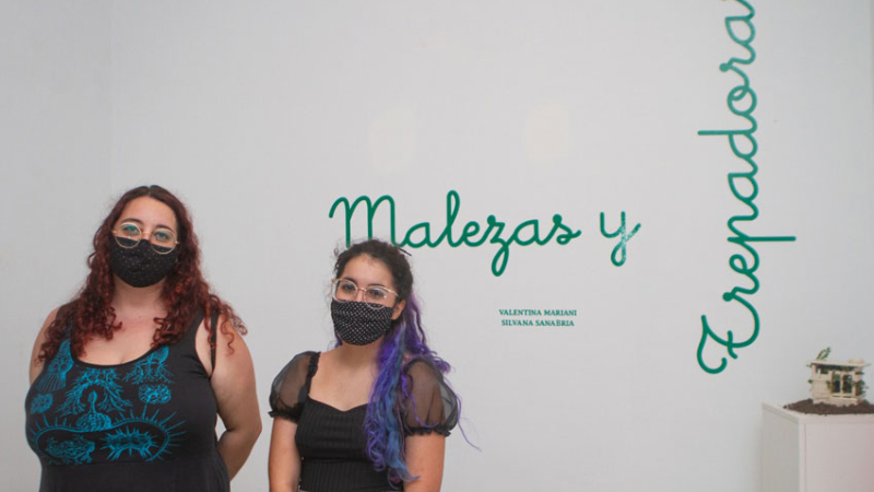 Malezas y trepadoras: arte para escarbar en el mundo botánico