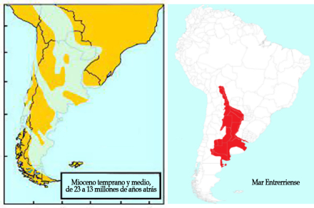 mar-entrerriense.jpg