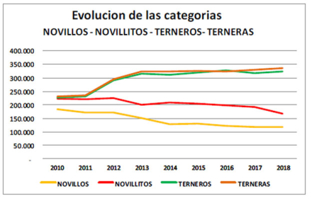 Evolucion-de-las-categorias.jpg