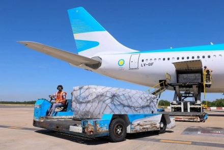 vuelo.jpg