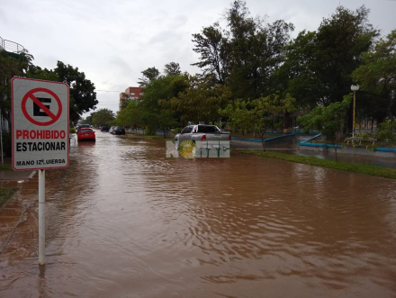 lluvia Impenetrable 1.jfif