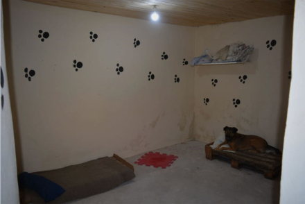 huellas5.jpg