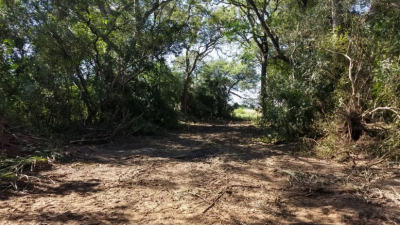 Dolor e indignación por desmonte en el Caraguatá