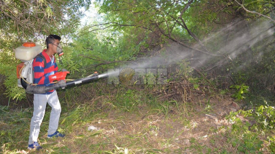 Mosquitos y Covid-19: polémica por pedido de fumigación en Charata