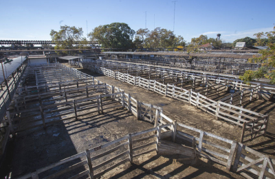 Comenzó fuerte el paro del campo por suspensión de exportaciones de carne