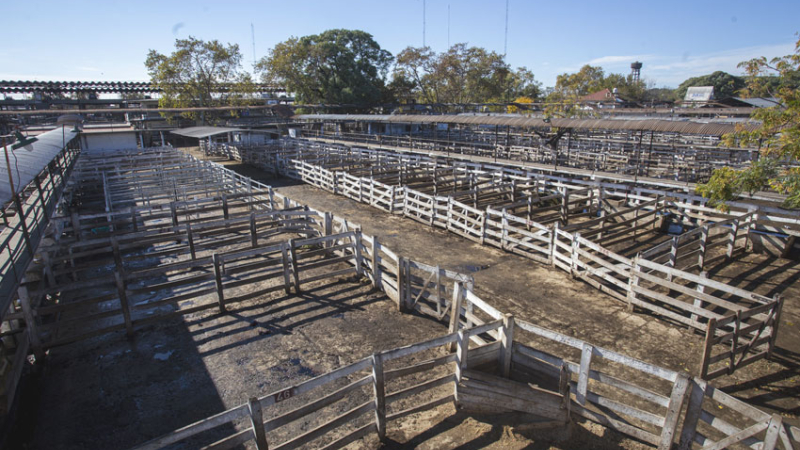 Comenzó fuerte el paro del campo por suspensión de exportaciones de carne