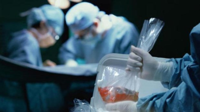 Día Nacional de la Donación de Órganos: por qué se celebra el 30 de mayo