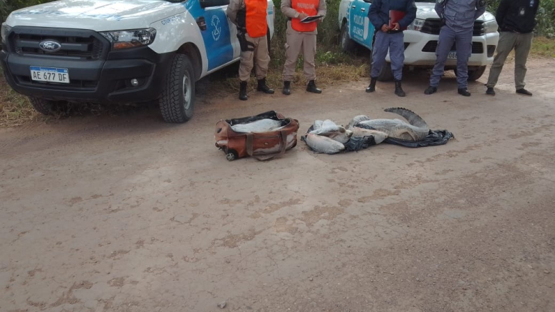 Demoraron a un pescador con 20 sábalos y un yacaré