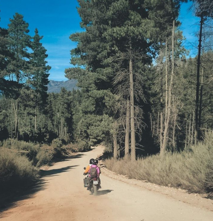 moto01.jpg