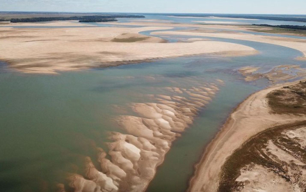 parana.jpg