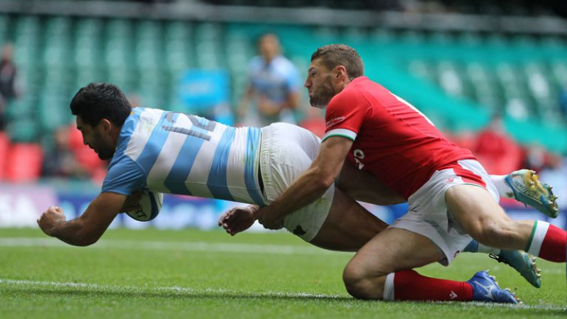Los Pumas empataron ante Gales
