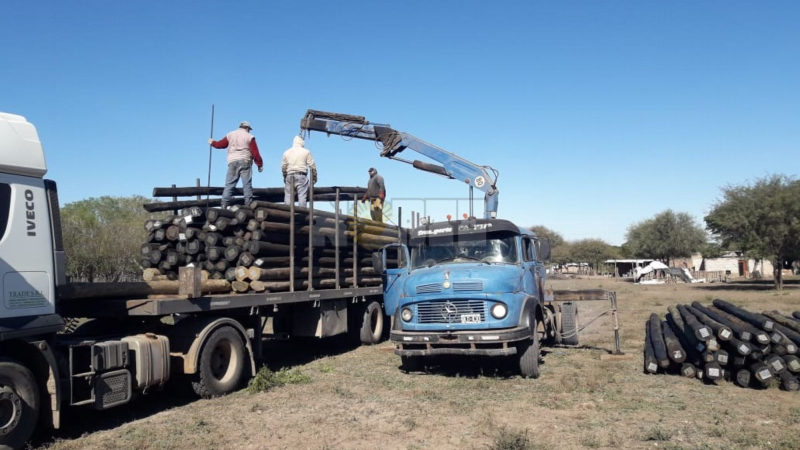 Verano 2021: Cooperativa de electrificación rural de Charata adquirió 150 postes
