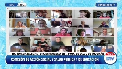 Diputados: especialistas expusieron sobre la iniciativa que jerarquiza la formación y desarrollo de la enfermería