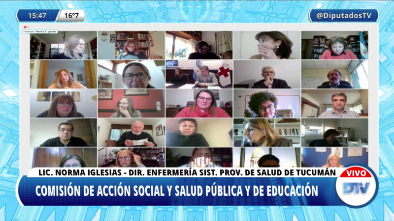 Diputados: especialistas expusieron sobre la iniciativa que jerarquiza la formación y desarrollo de la enfermería