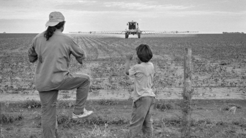 ¿Cómo medir el riesgo de los agrotóxicos para los niños?