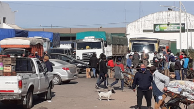 Productores denuncian que el Municipio les impide trabajar