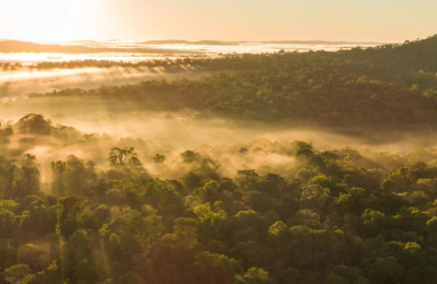 La Ruta Natural por el trópico argentino