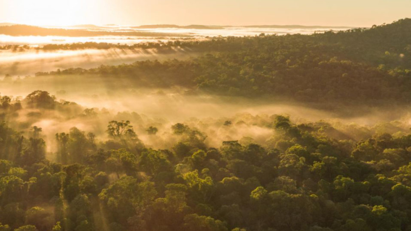 La Ruta Natural por el trópico argentino