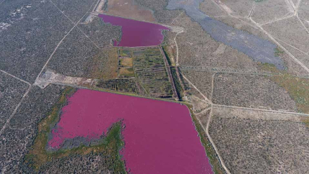 chubut5.jpg