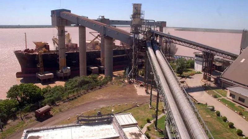 Caen los embarques de granos pero se disparan los de aceites