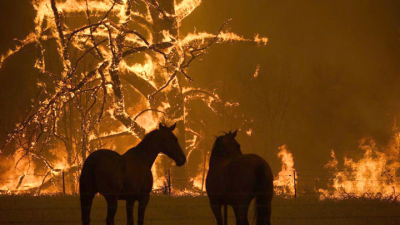 Sigue la imprudencia: los chaqueños, incendiarios por naturaleza