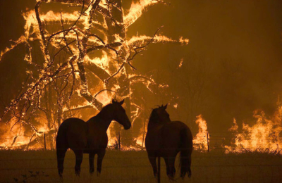 Sigue la imprudencia: los chaqueños, incendiarios por naturaleza