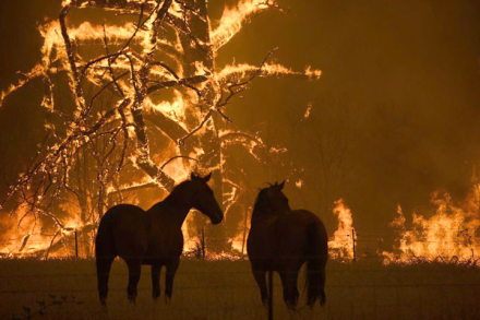 incendios.jpg