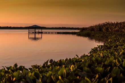 Parque Nacional Río Pilcomayo en Formosa.jpg