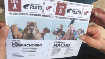 Las boletas del “carpinchismo”y el ingenio del electorado chaqueño