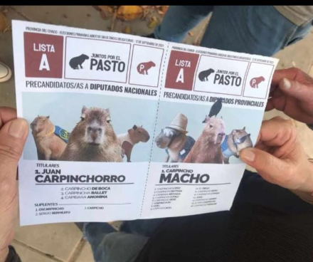carpincho 2.jpeg