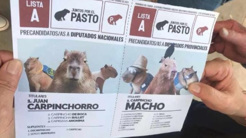 Las boletas del “carpinchismo”y el ingenio del electorado chaqueño