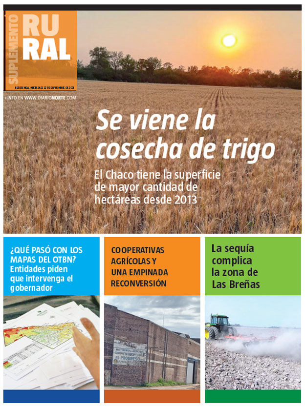 Se viene la cosecha de trigo