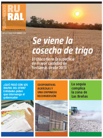 Se viene la cosecha de trigo
