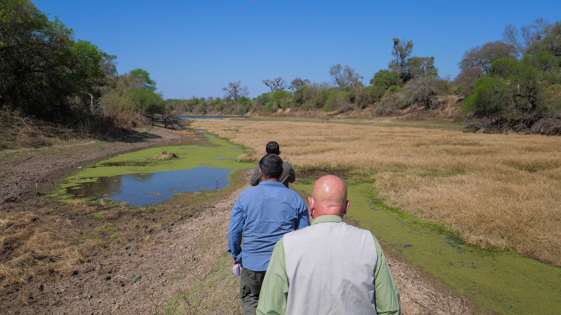 Tras 18 meses sin eventos presenciales, Chaco recibe a un foro nacional de turismo rural