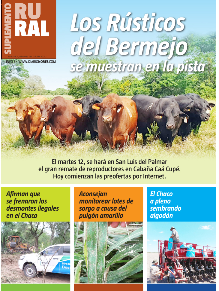 Los Rústicos del Bermejo se muestran en la pista