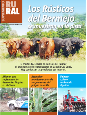 Los Rústicos del Bermejo se muestran en la pista